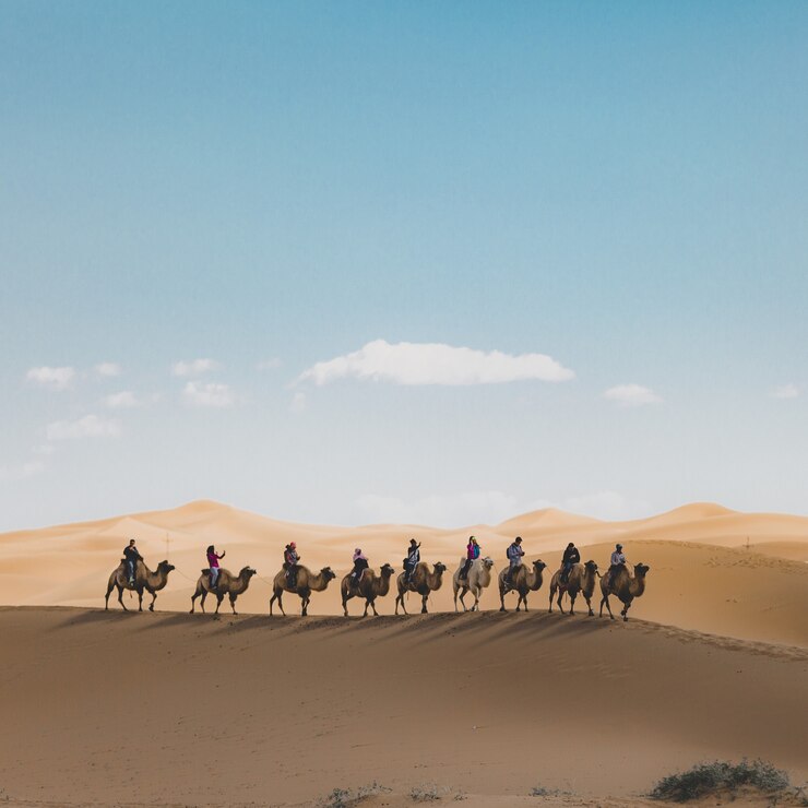 The Ten Promised Paradise mentioned in the hadith are